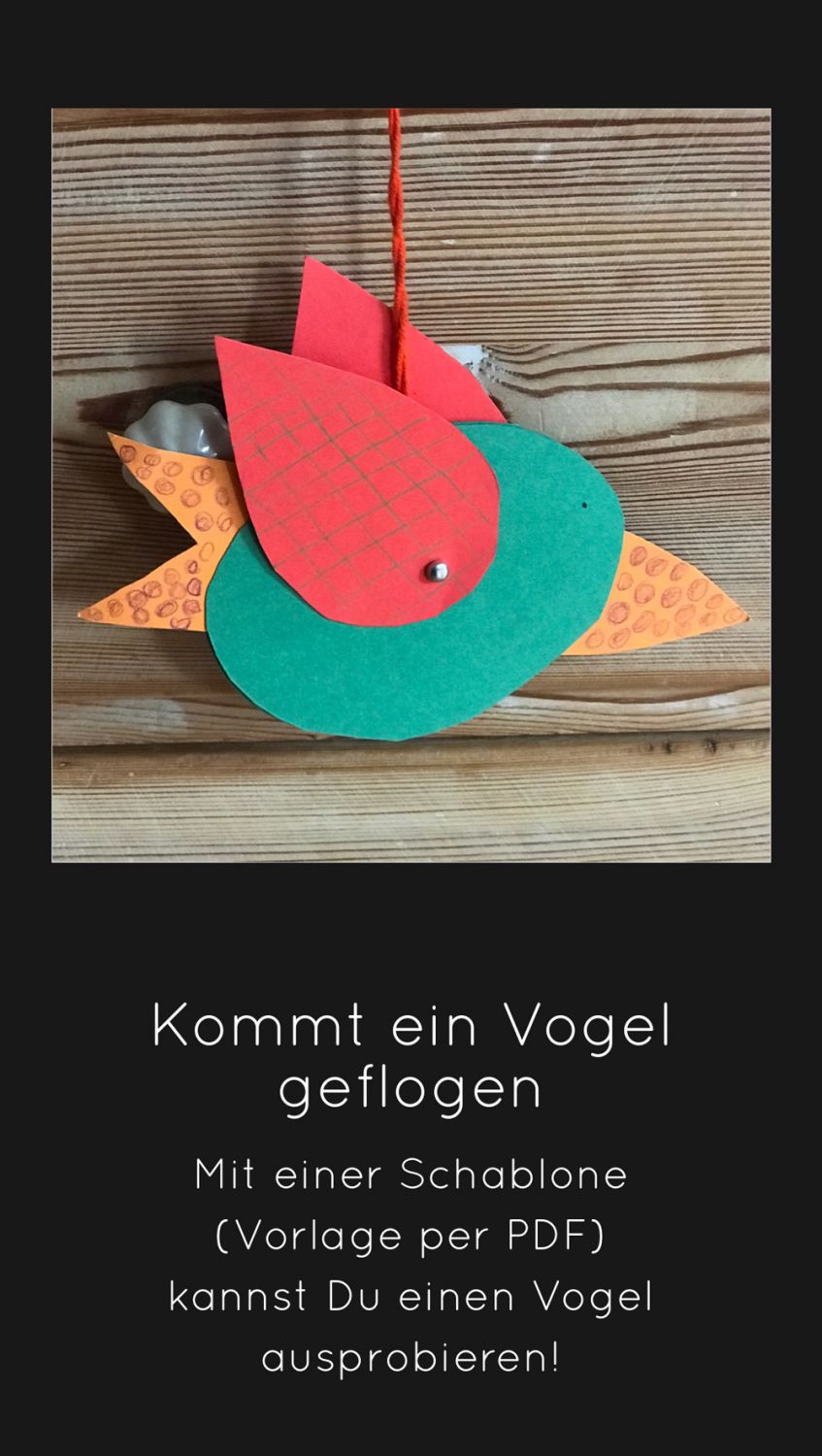 Vogel1.jpg